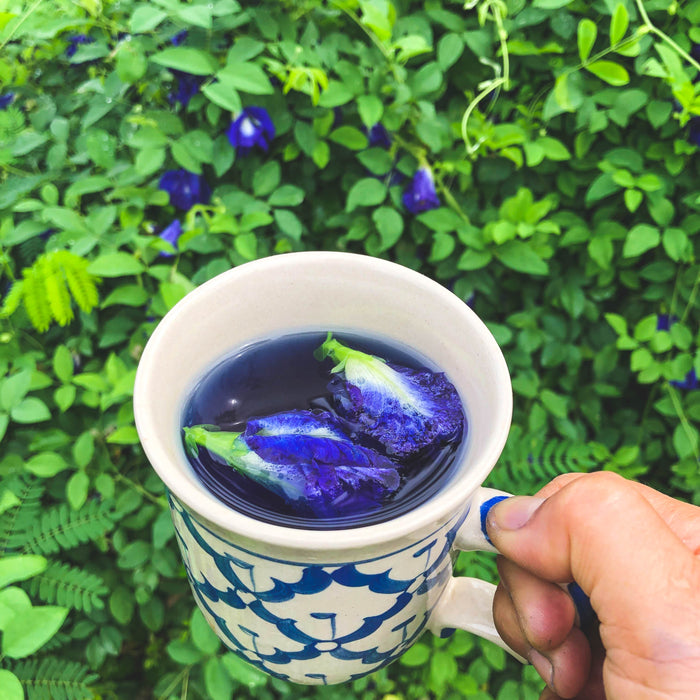 Butterfly Pea Seeds 