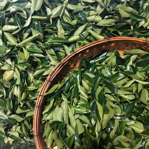 Curry Leaves Dried 