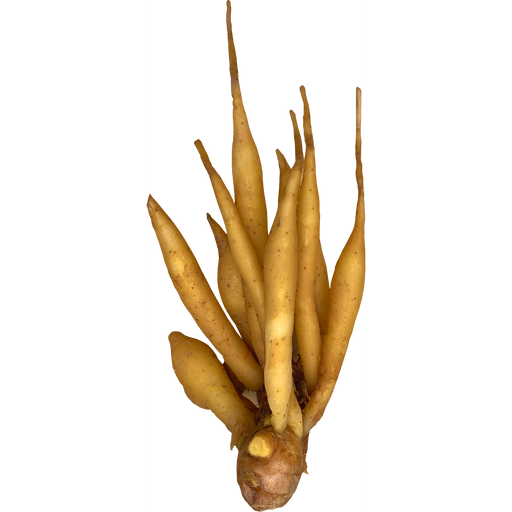 Krachai Fingerroot (Lesser Ginger)