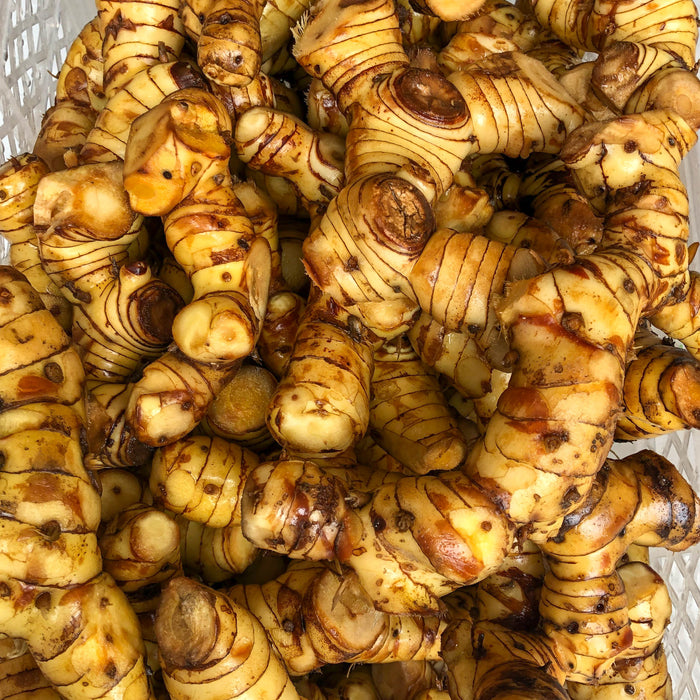 Galangal Dried Whole