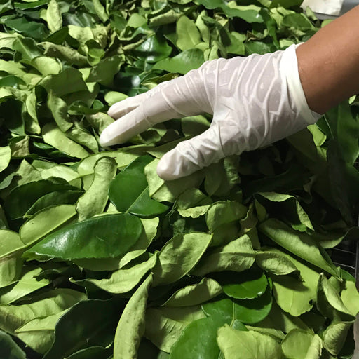 Makrut Lime Leaves Dried Whole