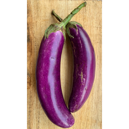 Long Purple Eggplant Seeds