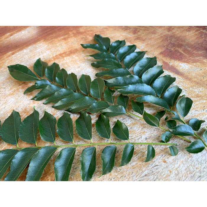 Curry Leaves Dried 