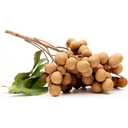 Golden Longan Fruit Dried